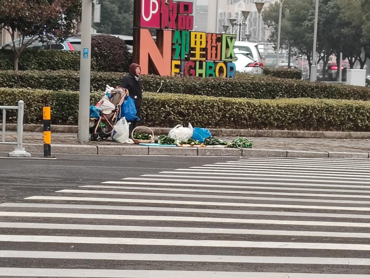 在街边偶遇一位老奶奶摆摊售卖蔬菜。她看起来大概70来岁，所售卖的蔬菜主要以绿叶菜