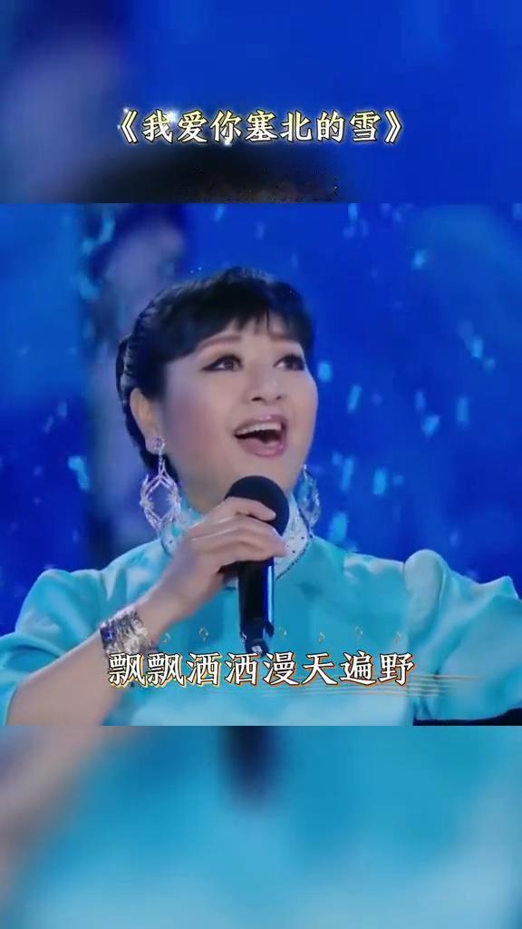 《我爱你塞北的雪》演唱：殷秀梅。
飘飘洒洒漫天遍野，我爱你塞北的雪。你的舞姿是那