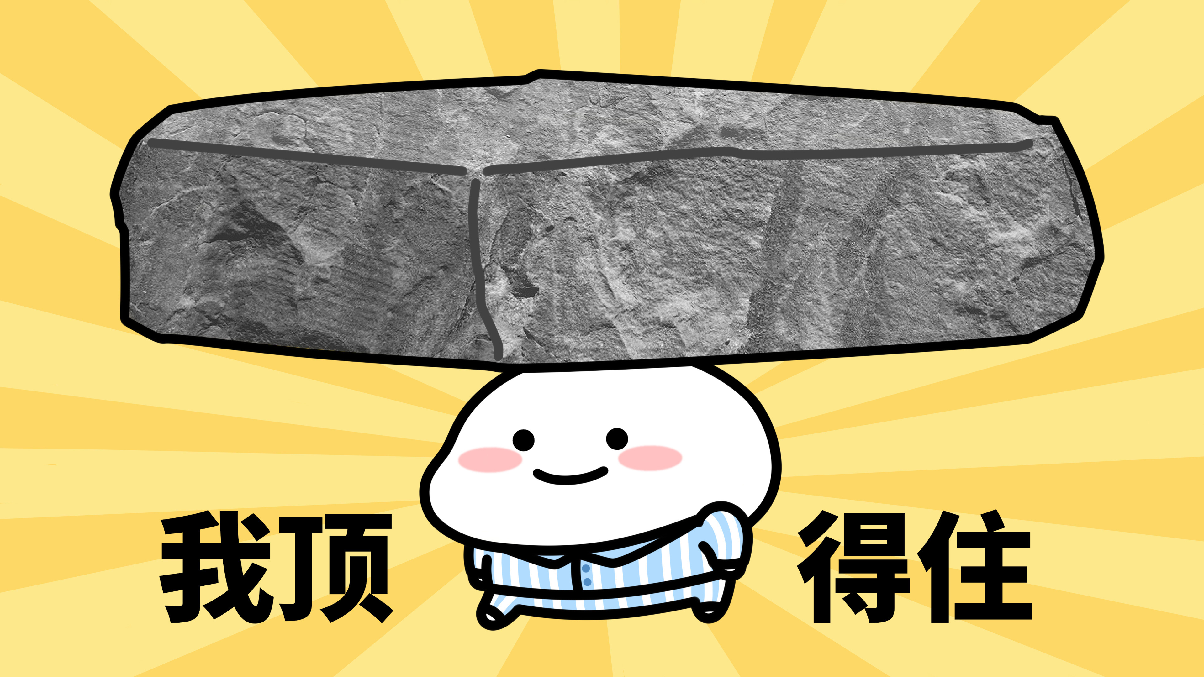 📢 来向大家汇报一下关于我们产品的最新进度首先就是大家比较关心的小米17 全系