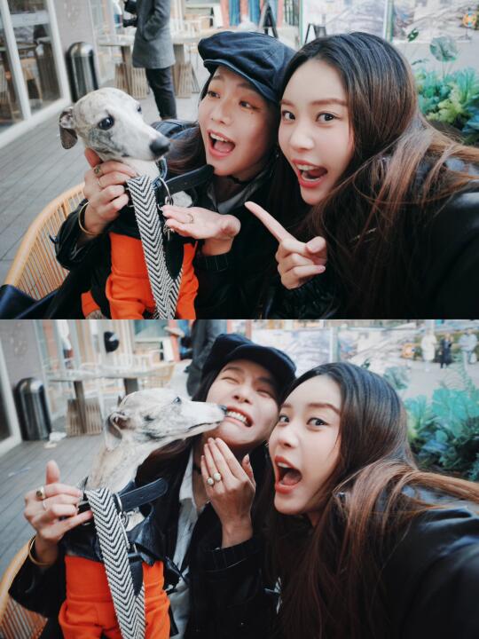 一对好朋友找到了！🐶🐶