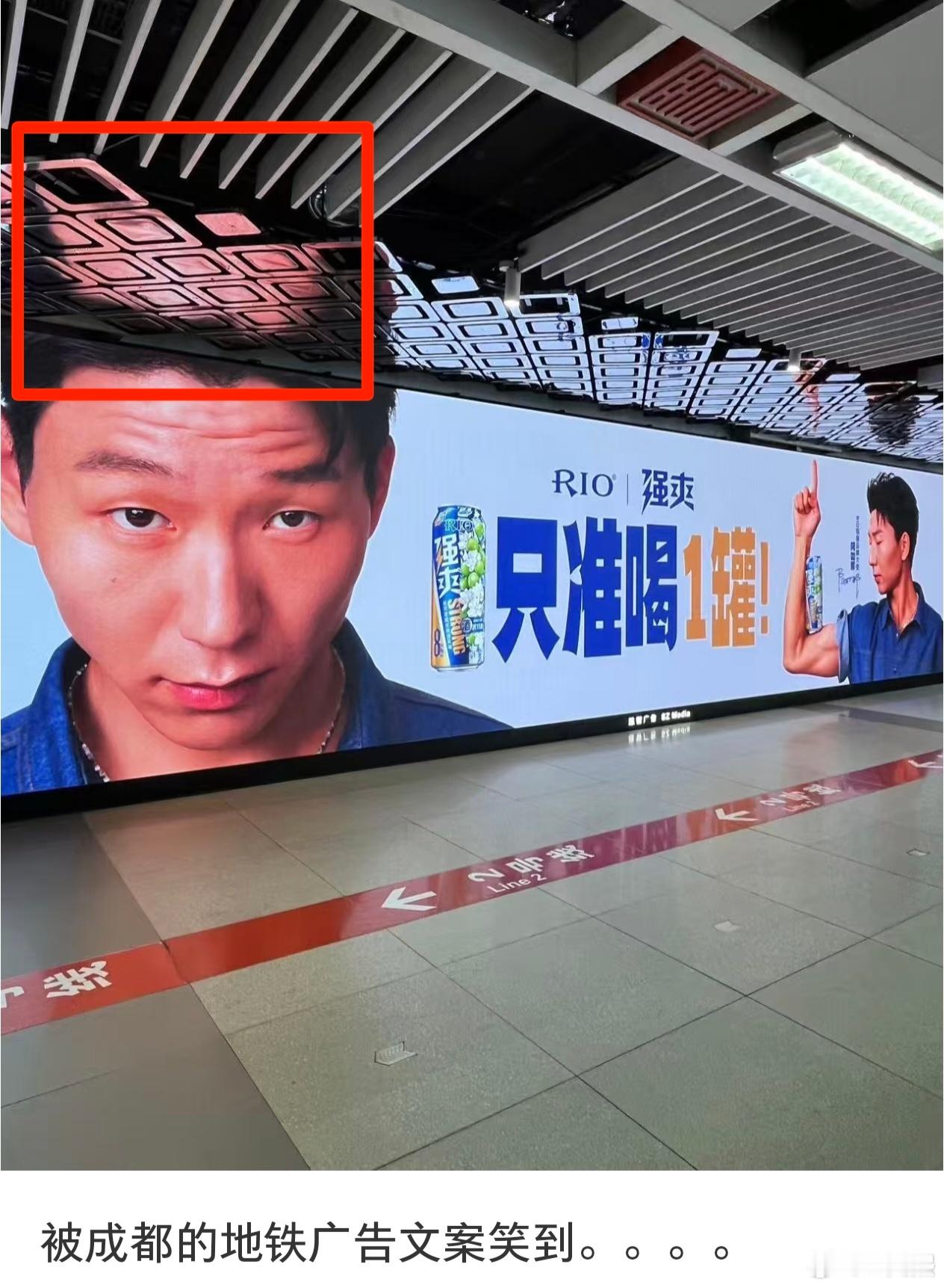 喝多会变地中海[doge]？ ​​​