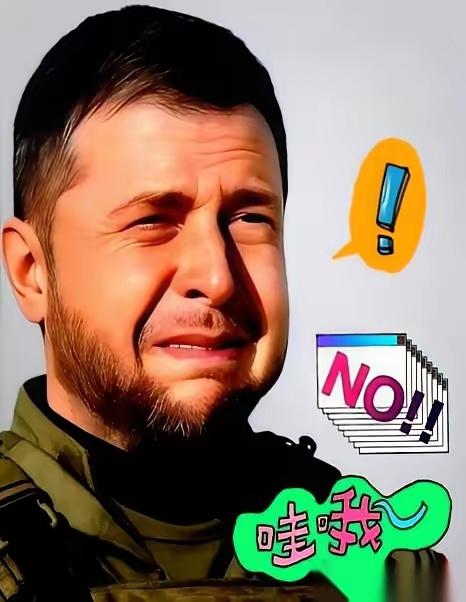 乌克兰总统泽连斯基，突然放了个大消息。​打了四年的仗，他说2026年上半年就能打