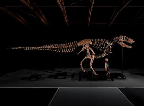 【🦖 对于那种价钱，你可以买一架私人飞机。或者买一只恐龙。】一只名叫Gus的霸
