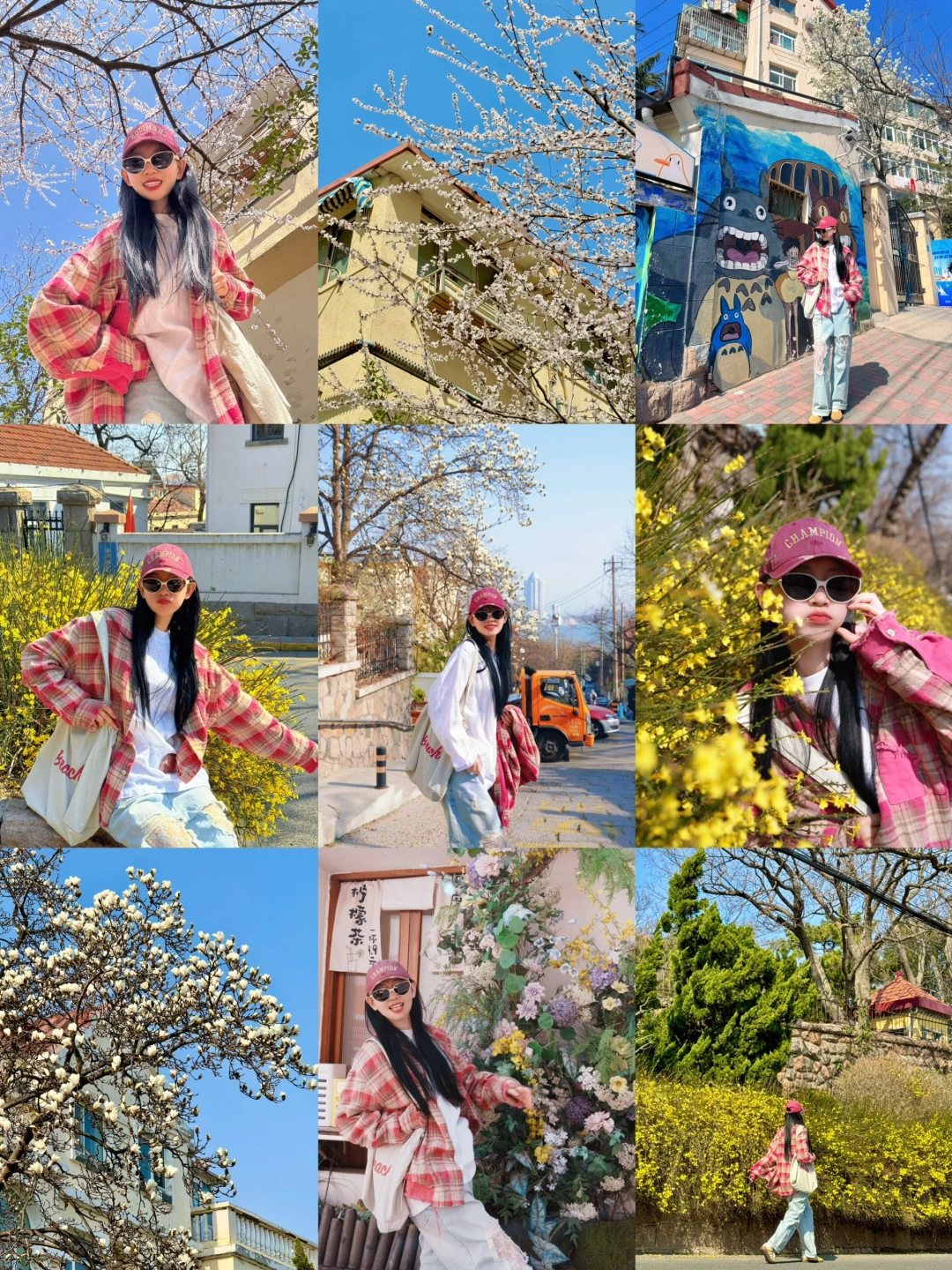 3.22实况播报‼️青岛老城区的花开啦🌸附路线