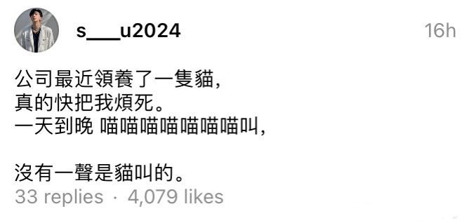 #龙年造梗大赛# 没有一声是猫叫的 ​​​