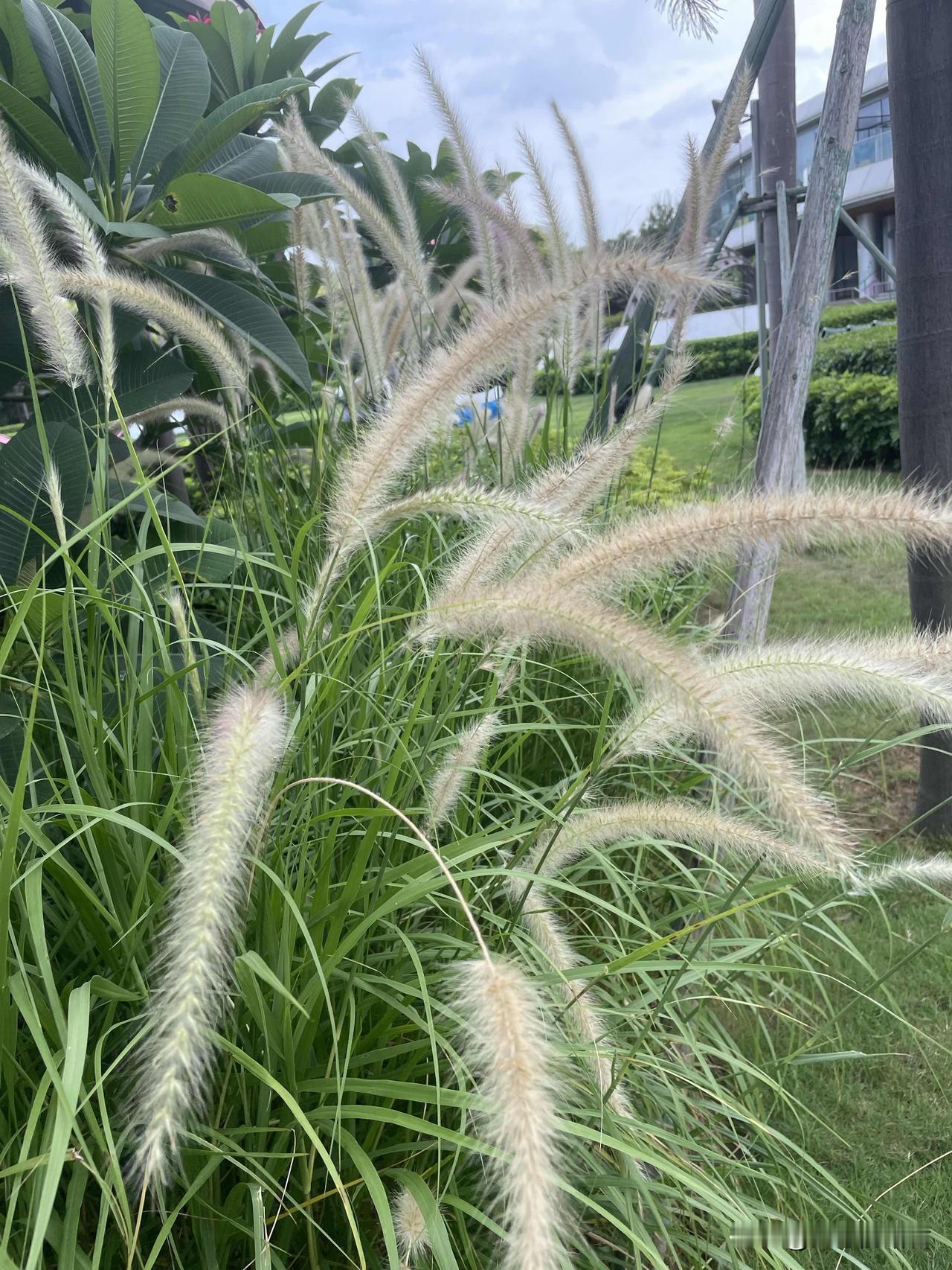 为了一条鱼，把婚姻给搅破碎了，真是愚蠢啊！一女子，34岁，结婚6年，有两个孩子，