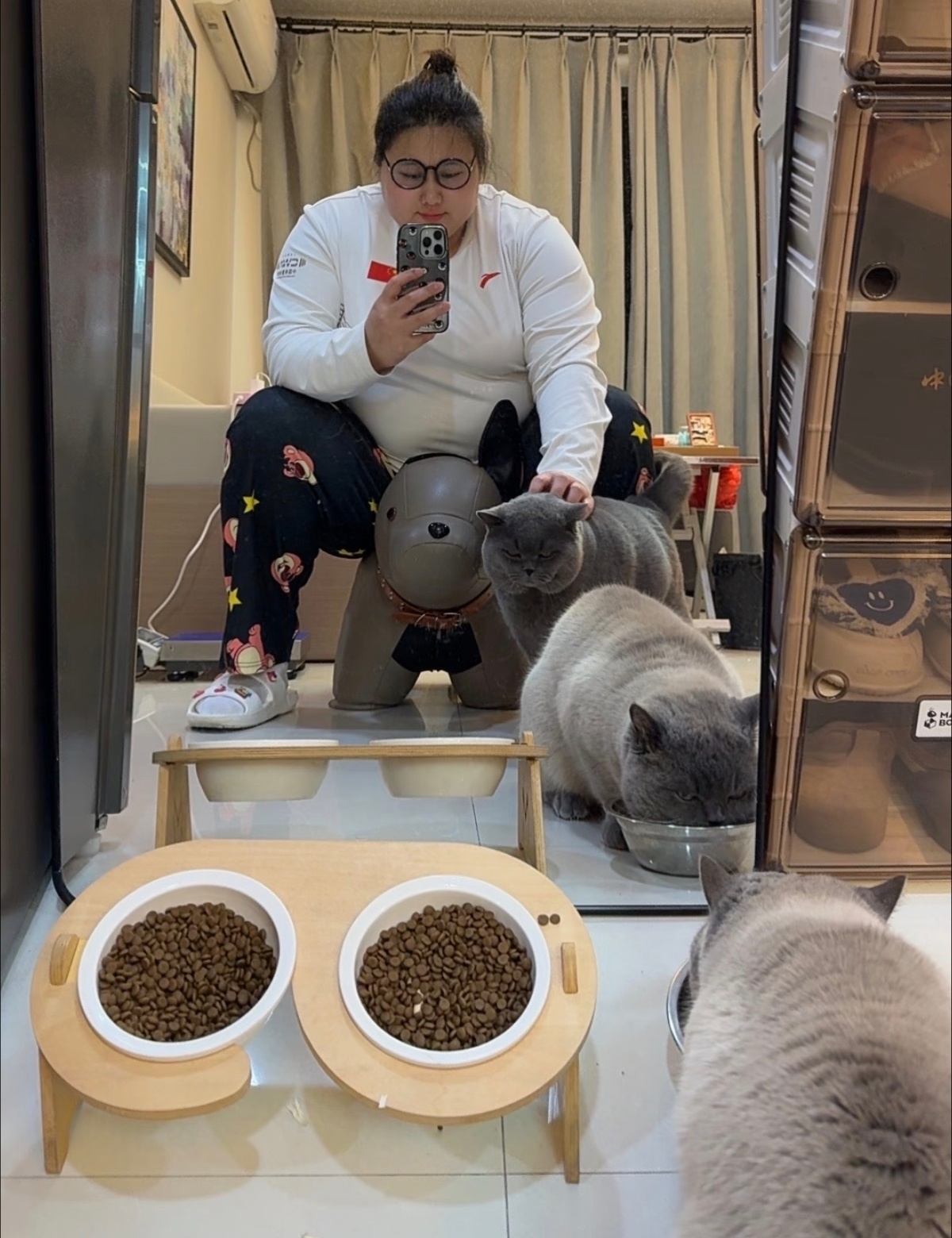 奥运举重冠军李雯雯的猫，煤气罐，好可爱！[笑cry] ​​​