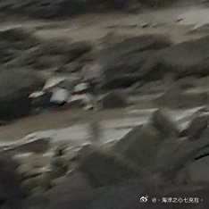 每日一善 少年智则国智，少年富则国富； 少年强则国强，少年独立则国独立； 少年自