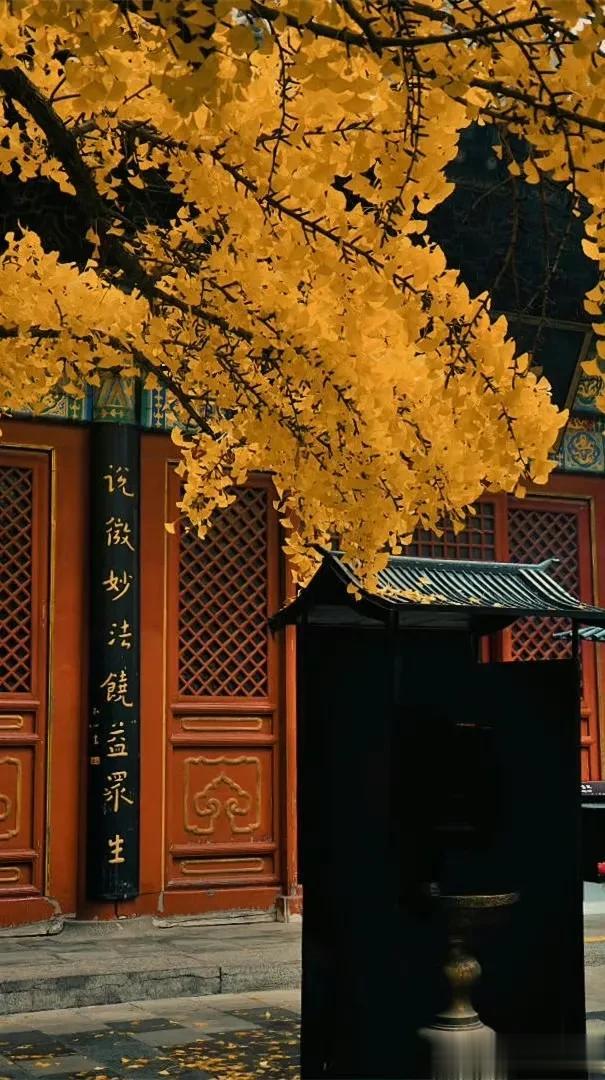 每天一点财税小知识190
因为业务需要，公司经常派我到外地洽谈业务，请问公司给我