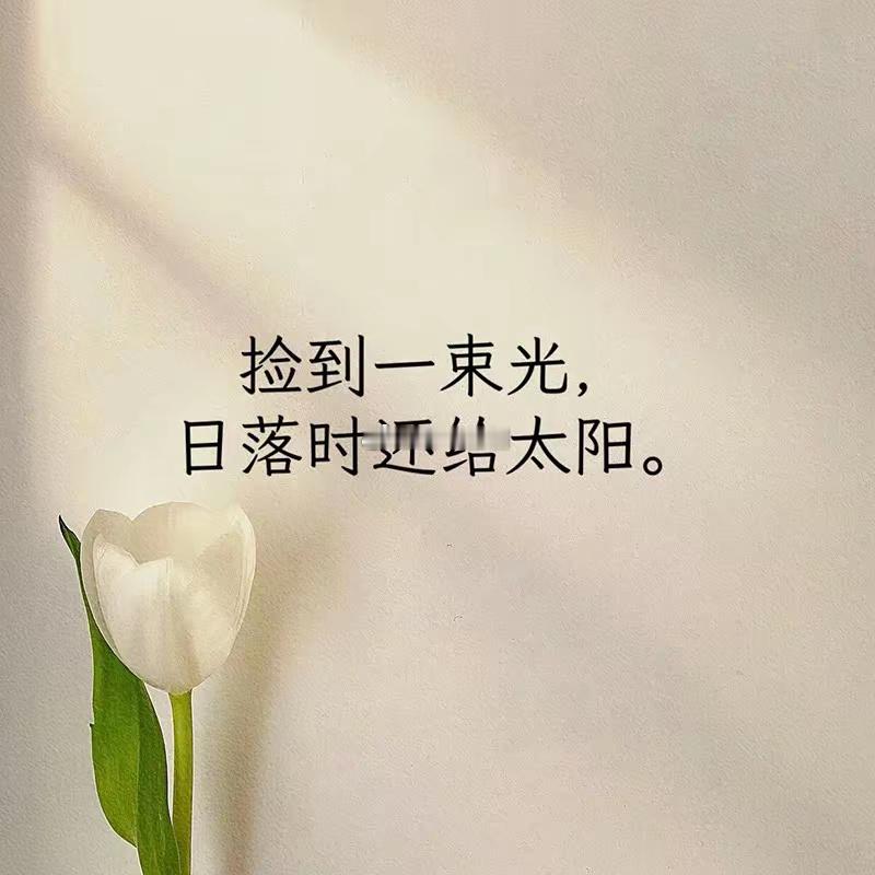 天秤座的人擅长处理人际关系，注重公平和和谐。他们善于沟通和协调，具备出色的解决问