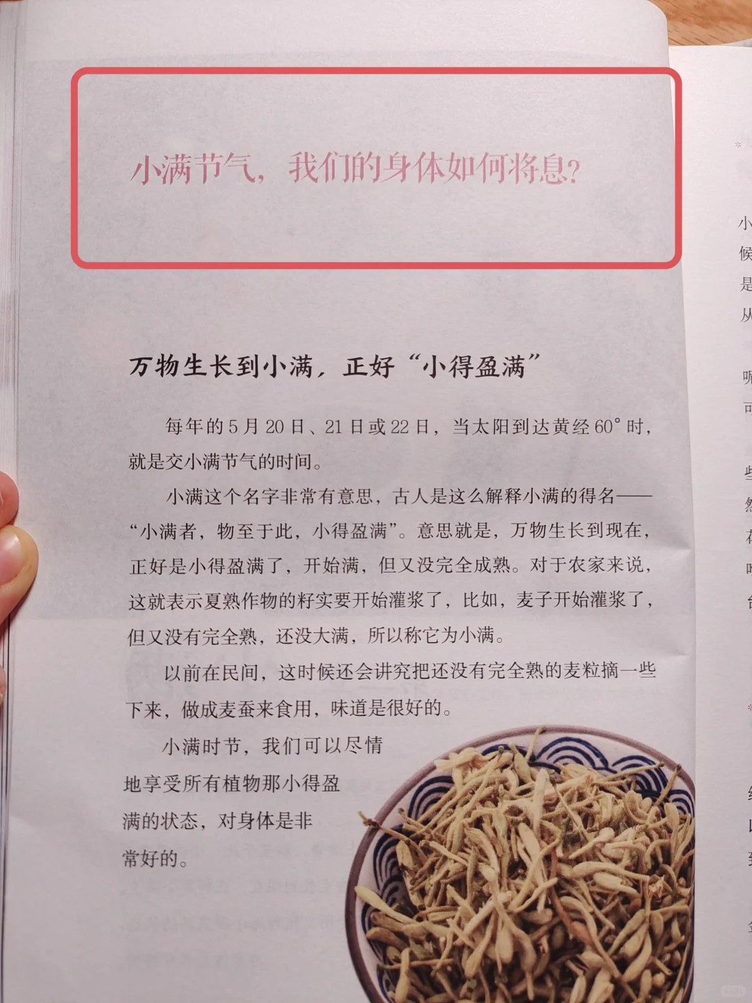 陈允斌老师——小满，长筋骨，长精力🔥