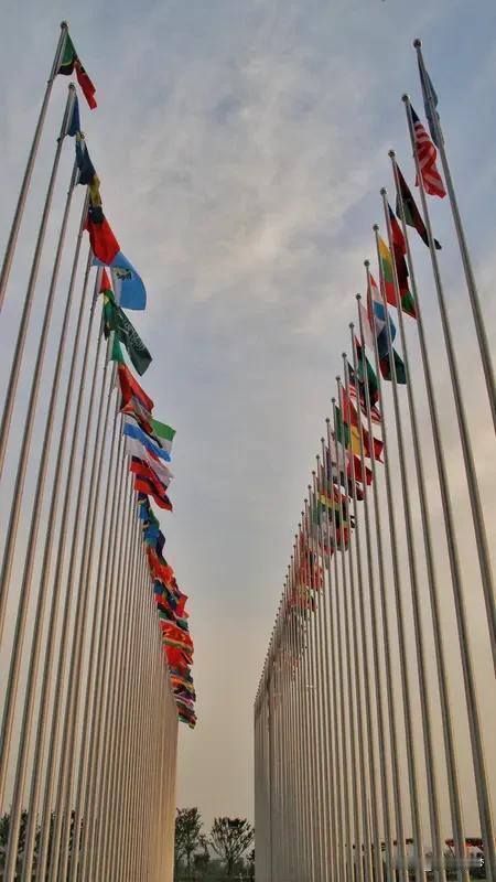 美国为何一意孤行破坏国际秩序美国一意孤行破坏国际秩序，是其维护自身霸权、奉行极端