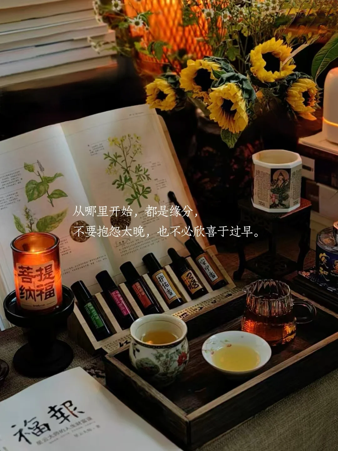 从哪里开始，都是缘分，不要抱怨太晚