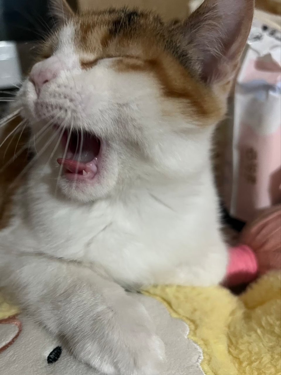 扣嗓子眼 