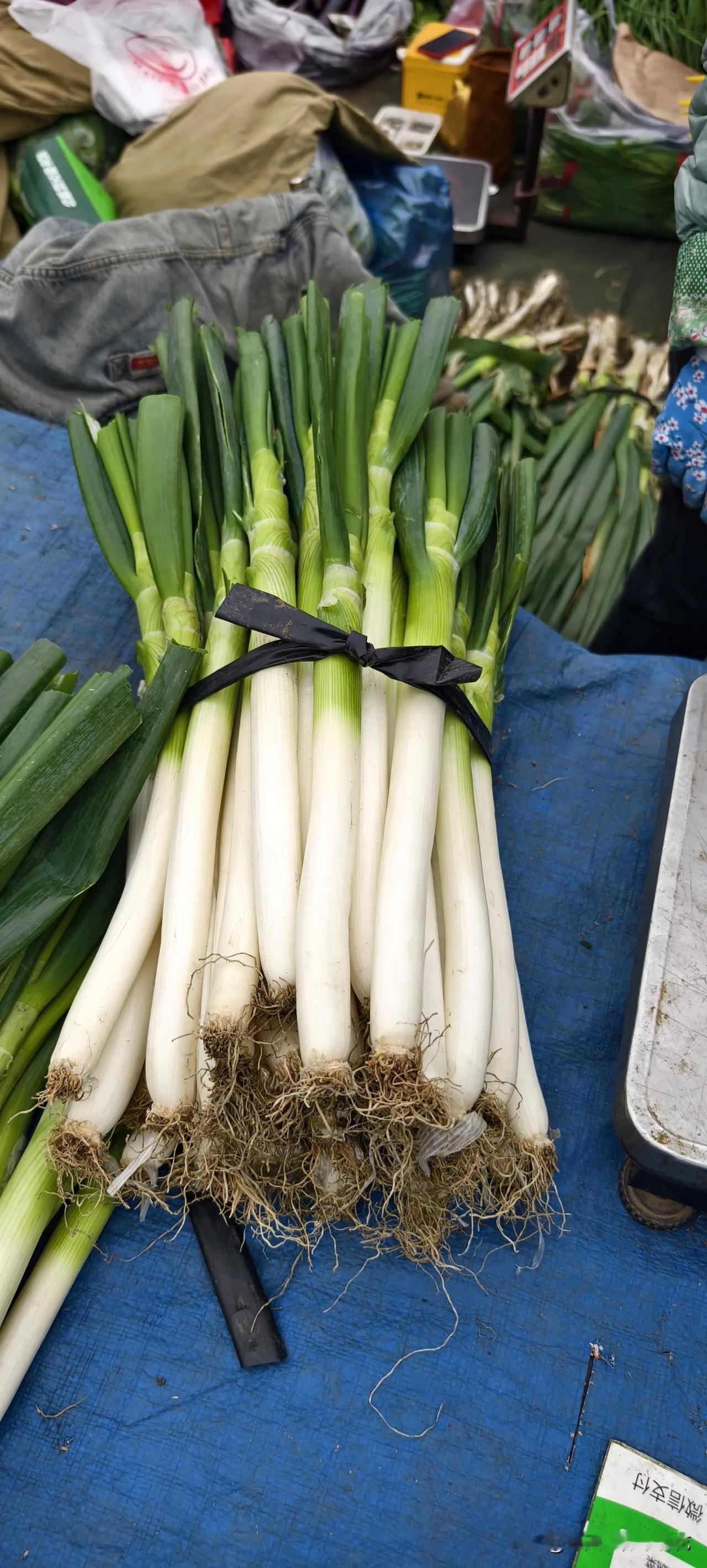 冬天到了，买大葱储藏，省得大冷天去市场，