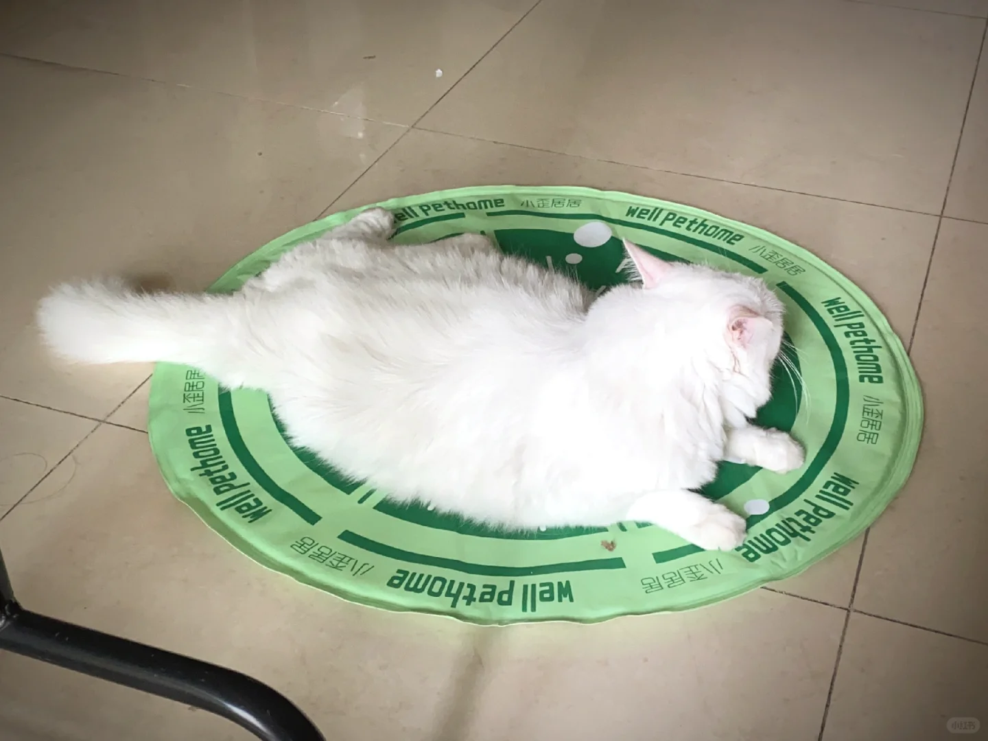 广东的小朋友还在用冰垫🧊😂