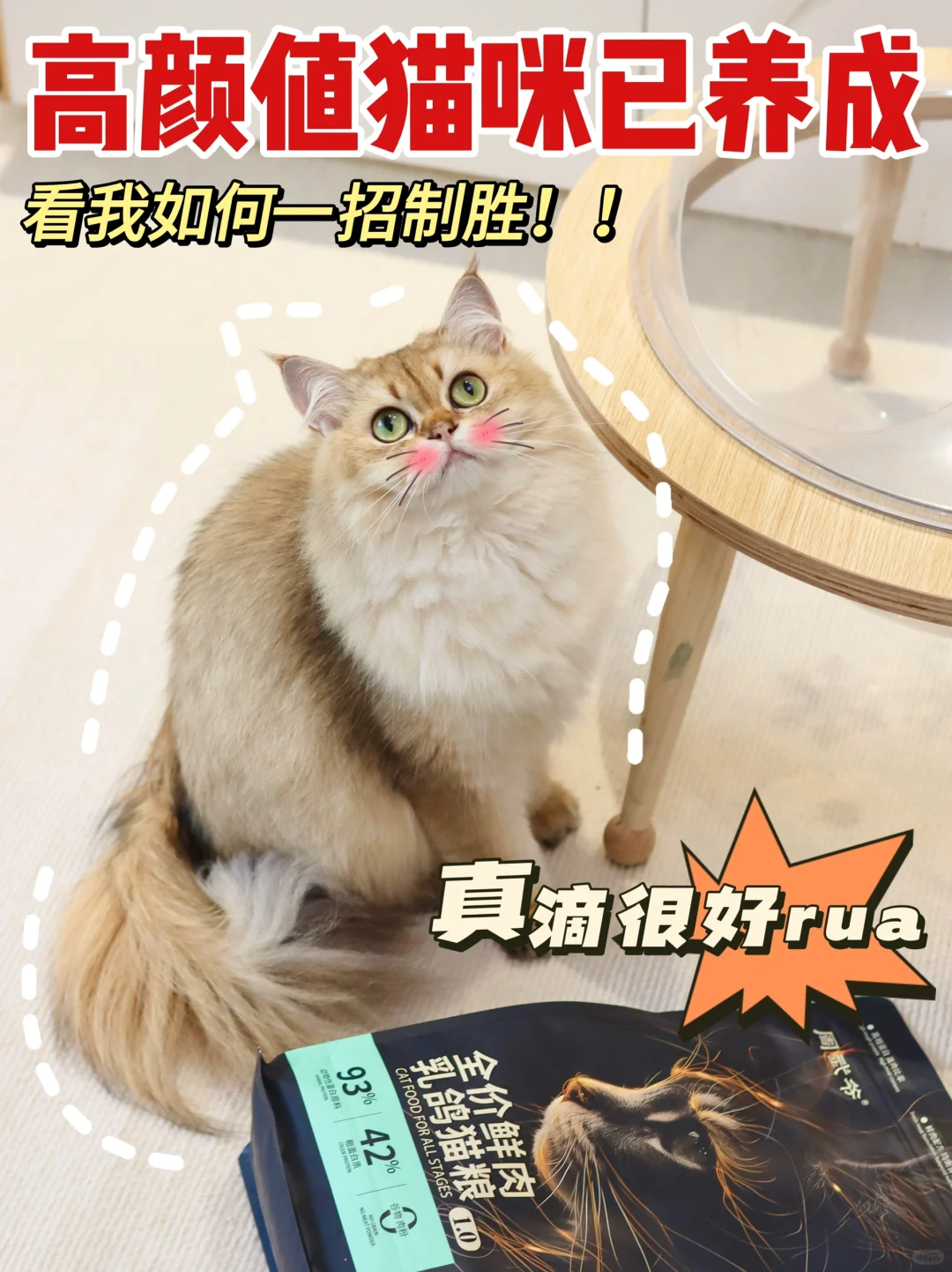 高颜值猫咪已养成，真滴很好rua