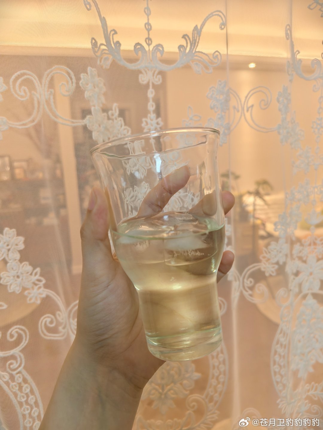 昨天豆花爹刷到了奶洗西瓜金酒，说想喝。我：这玩意儿我应该能搓出来但是你不是不喝酒