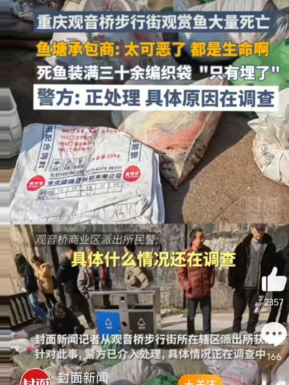 观音桥死亡锦鲤装满三十多个编织袋 太可惜了，究竟是什么原因，希望相关部门尽快查清