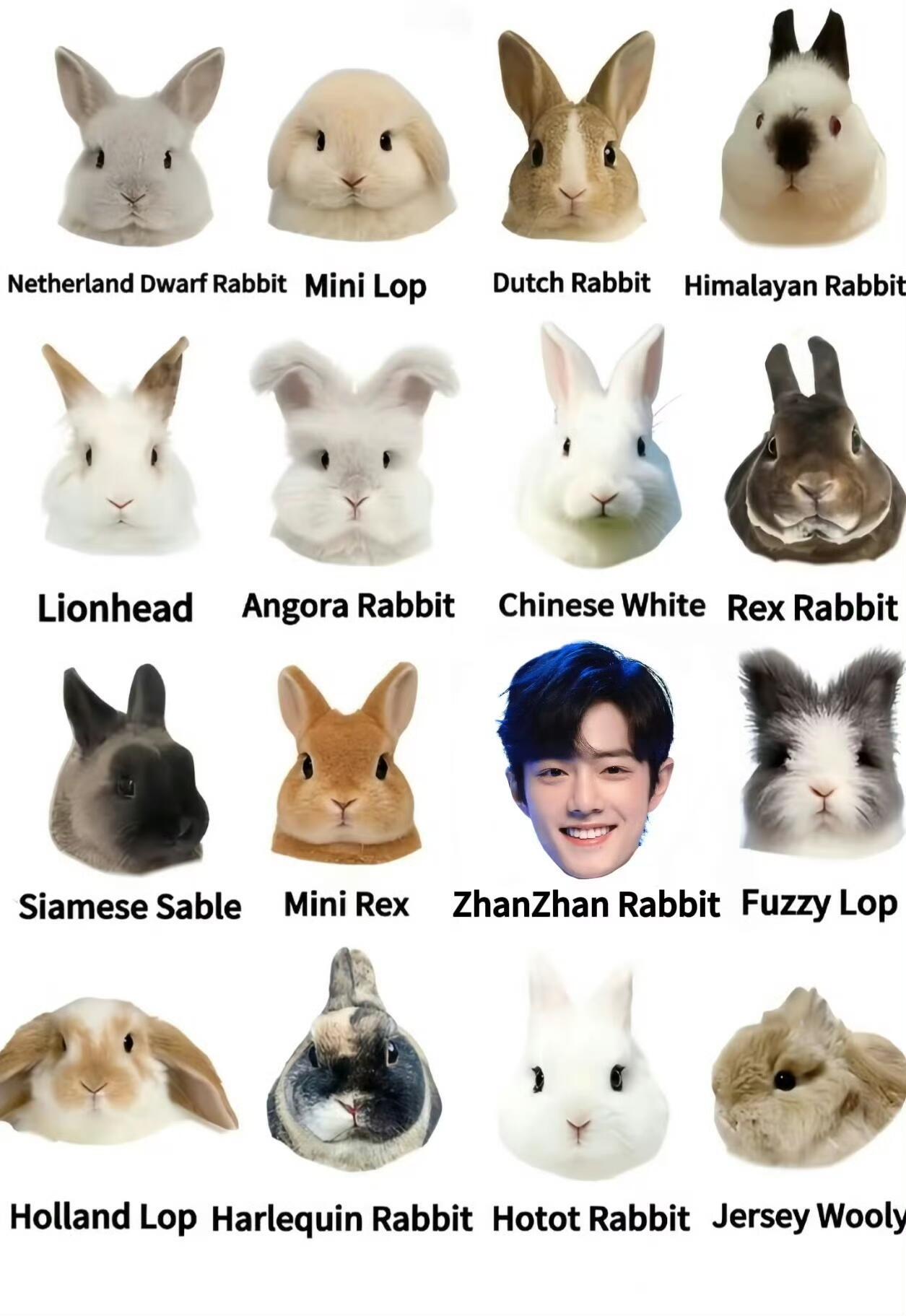 第三排第三只小兔怎么才能带回家🥺 