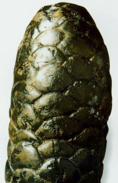 1973年，宁夏一对年轻的夫妻，天没亮就出门赶集，走在前方的丈夫突然听到一声惨叫