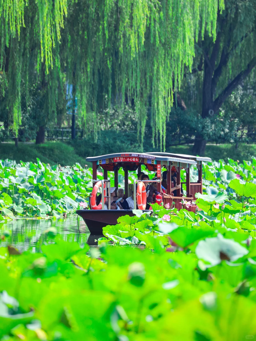 我说这里是北京免费公园🔝，没人反对吧