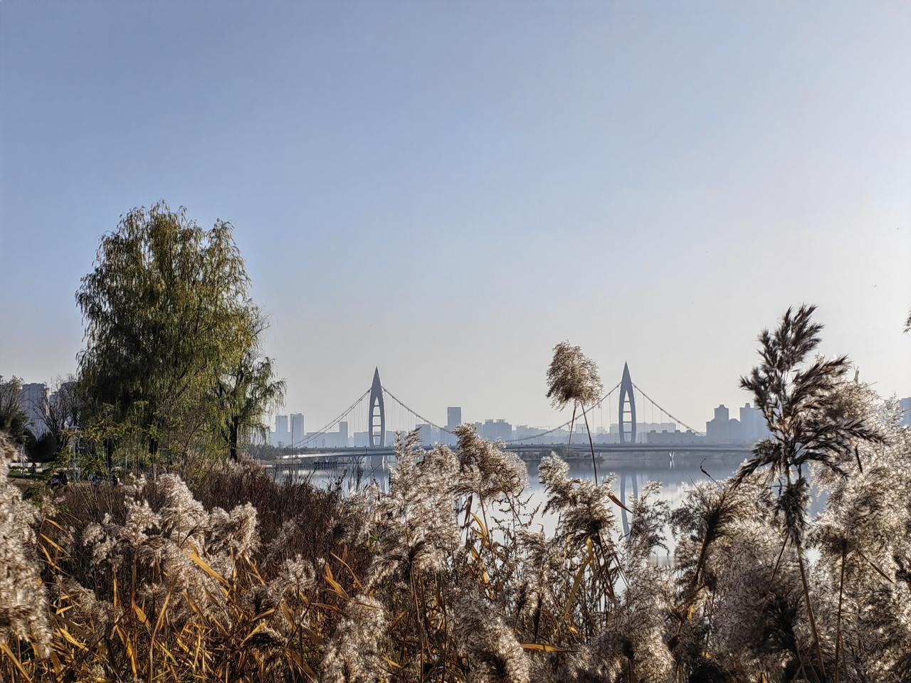 心理学家发现，过去发生的先例只会激发人15%的行为，另外85%的行为是由人根据先