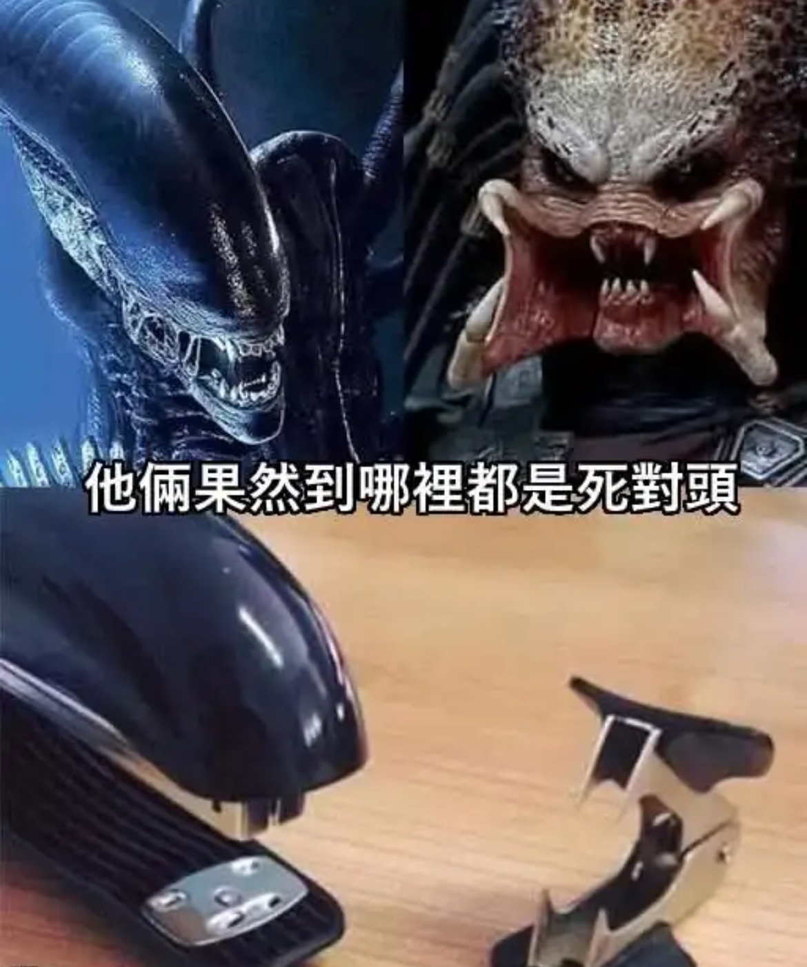 具象化了meme ​​​
