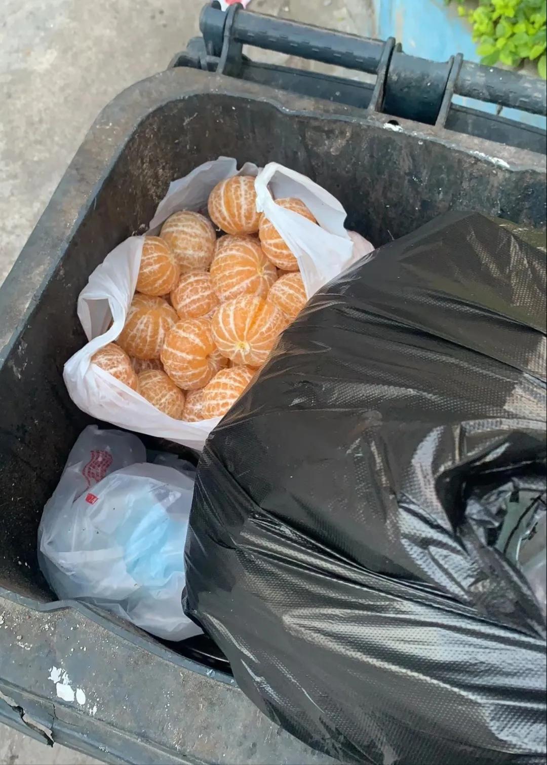 这…这是什么操作啊！无意间发现的，为什么一大袋橘子肉都扔了呢，看着也没坏啊，橘子