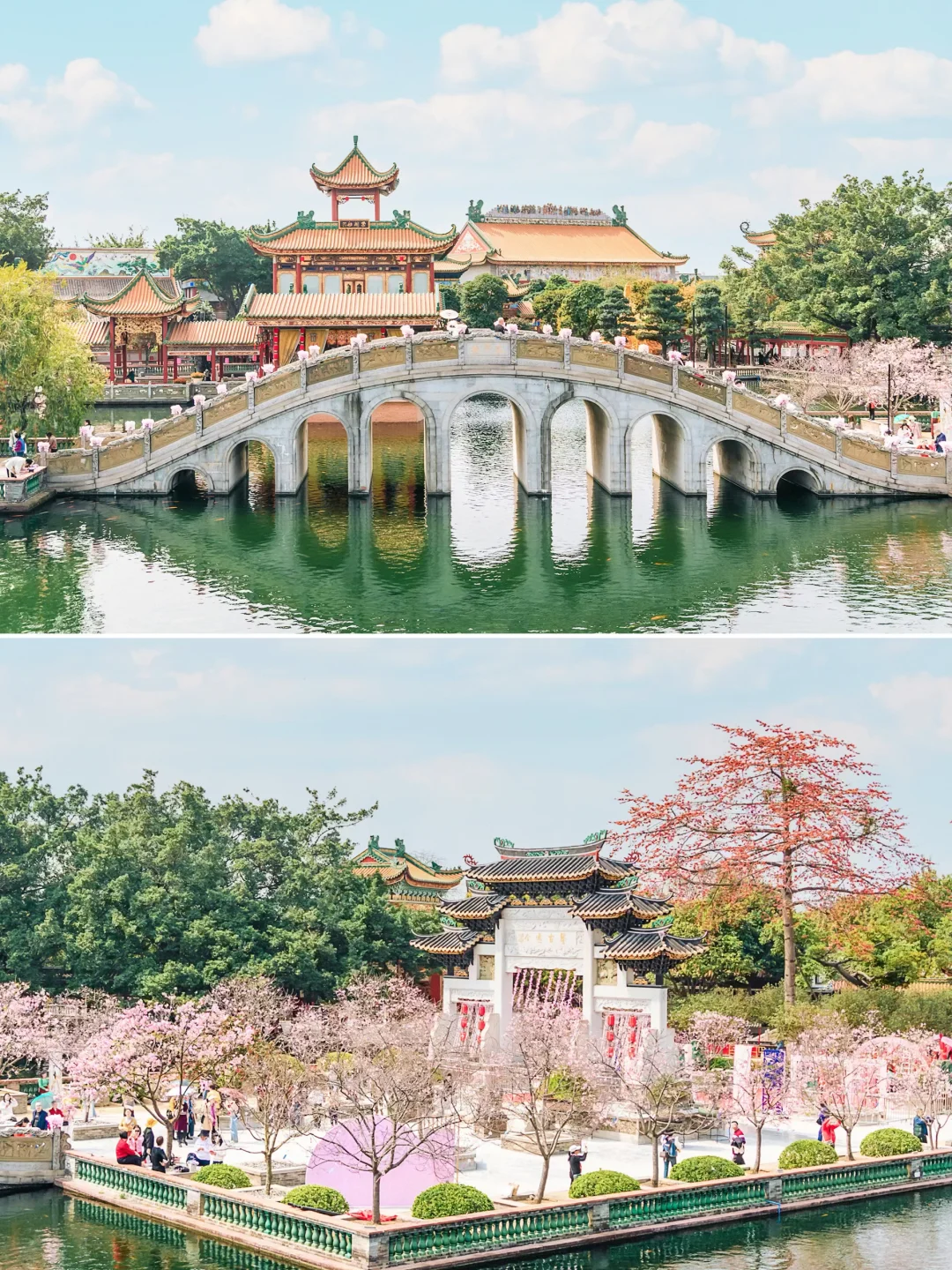 宝墨园🌸国风樱花天花板 美得就像一幅画‼️