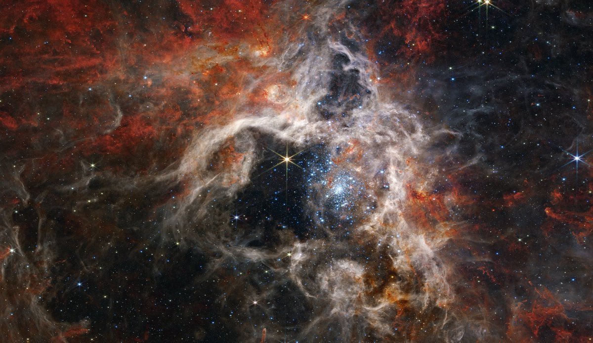 #每天一天文图# 韦伯捕捉到的宇宙狼蛛[酷] ​​​