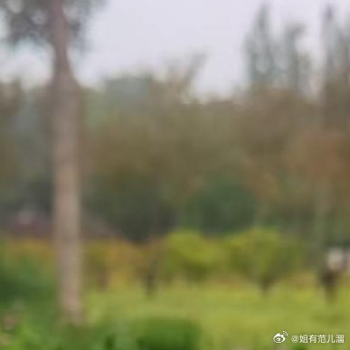 昨晚加班到十一点，随手发了条朋友圈说好累。五分钟不到，一个两年没见的老友私信我：