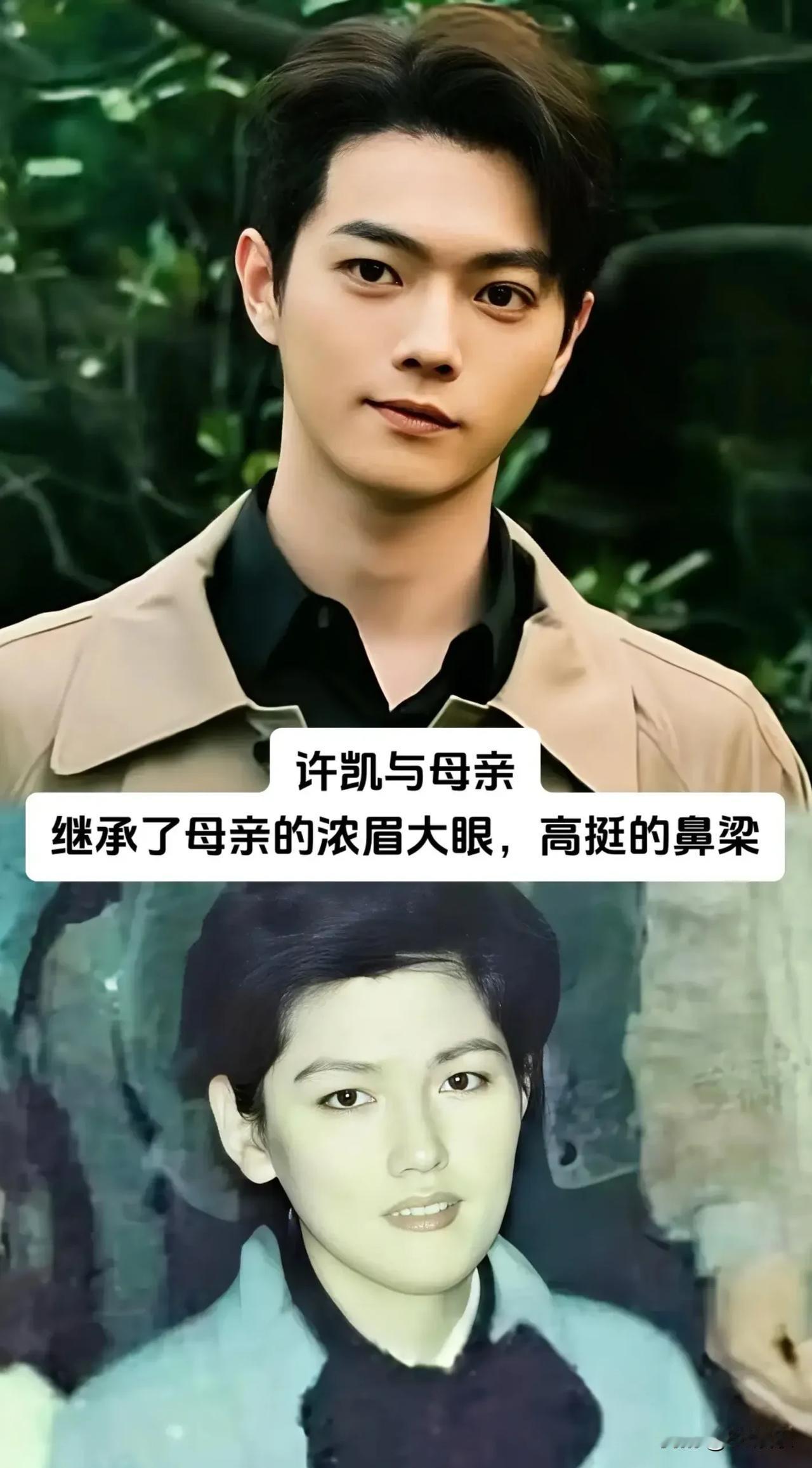颜值从不是凭空而来，遗传的力量在这些明星母子身上展现得淋漓尽致。
或是同款眉眼，