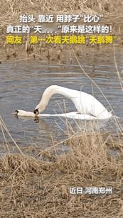 这画面也太美了吧，都登上人民日报了。这才是名副其实的天鹅舞啊！
        