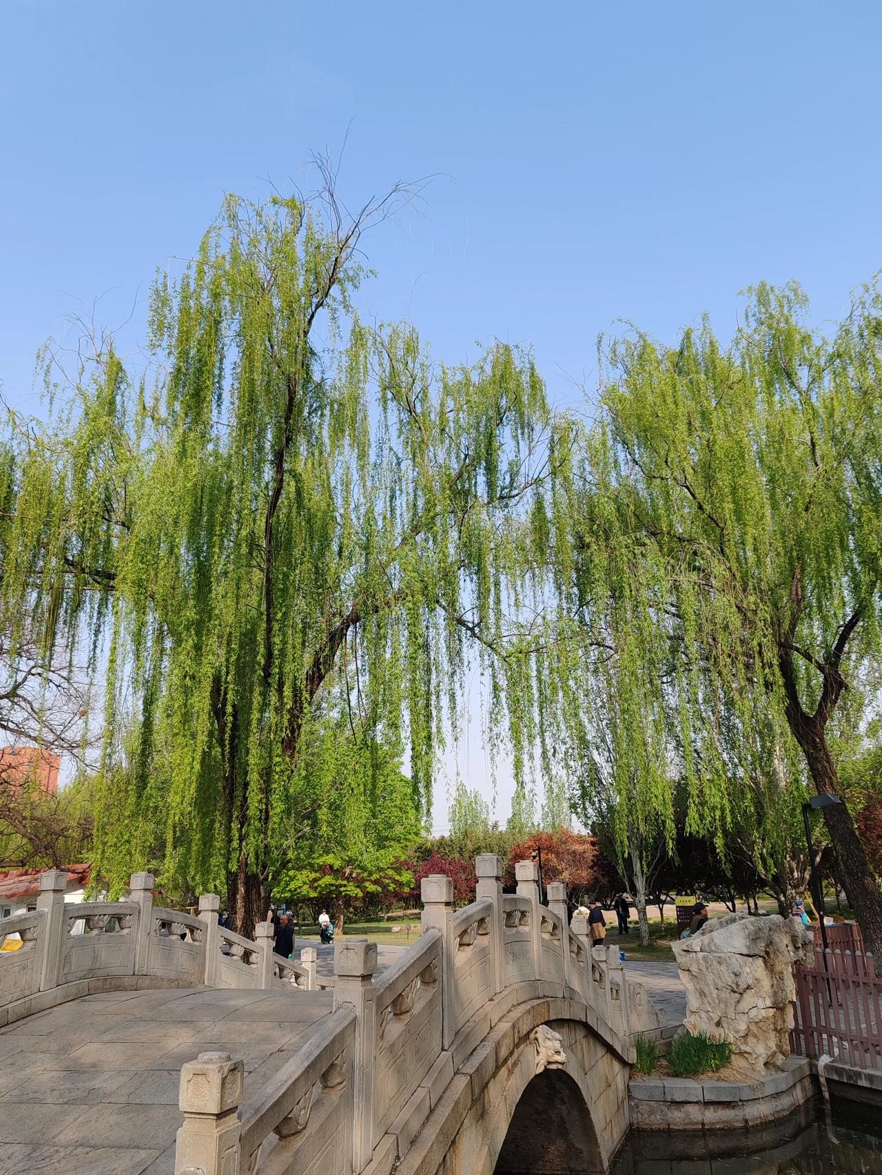 春日生活打卡季春日随手拍。
