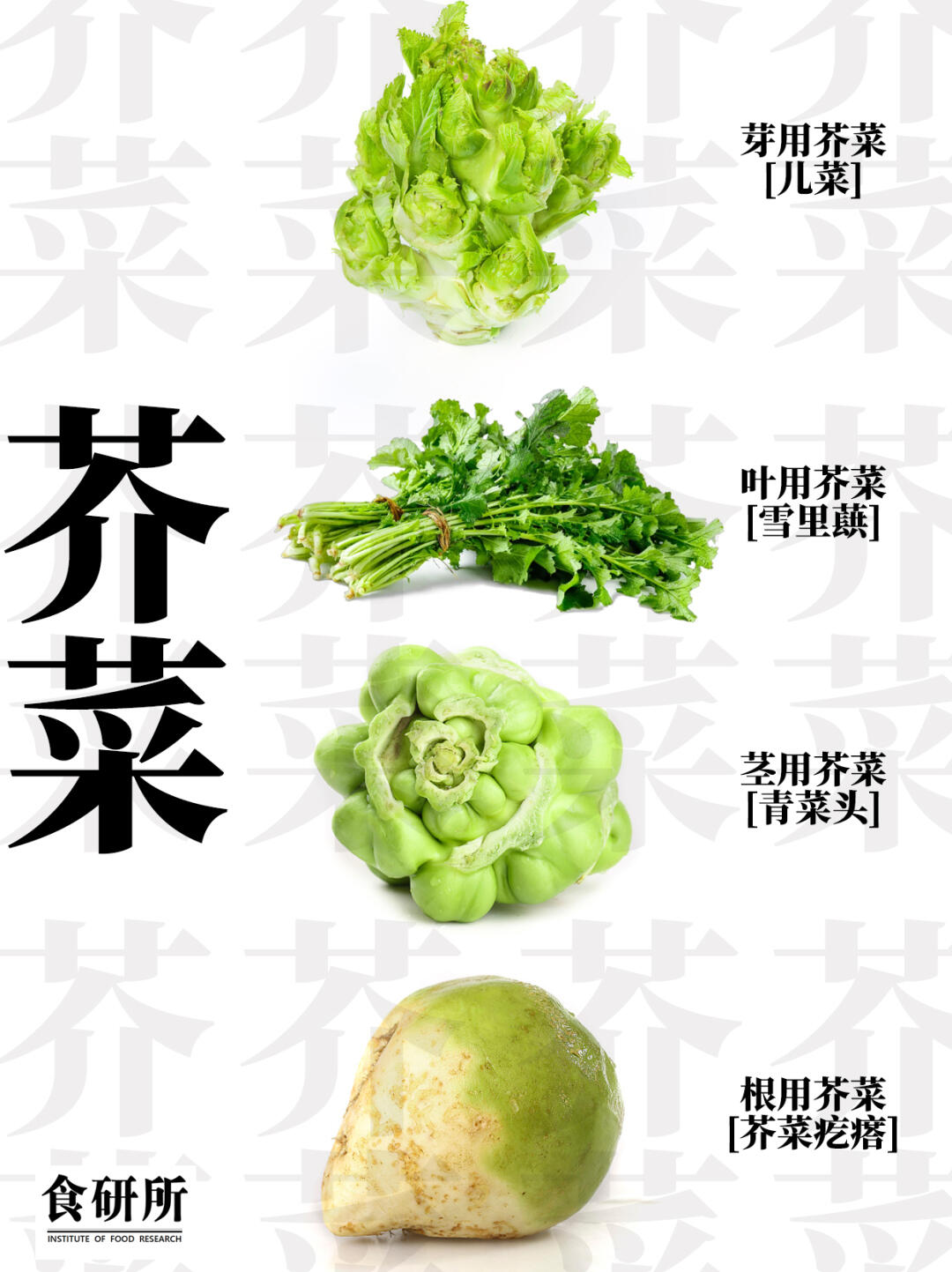 🔥减脂期必囤！4种芥菜的神仙吃法✨