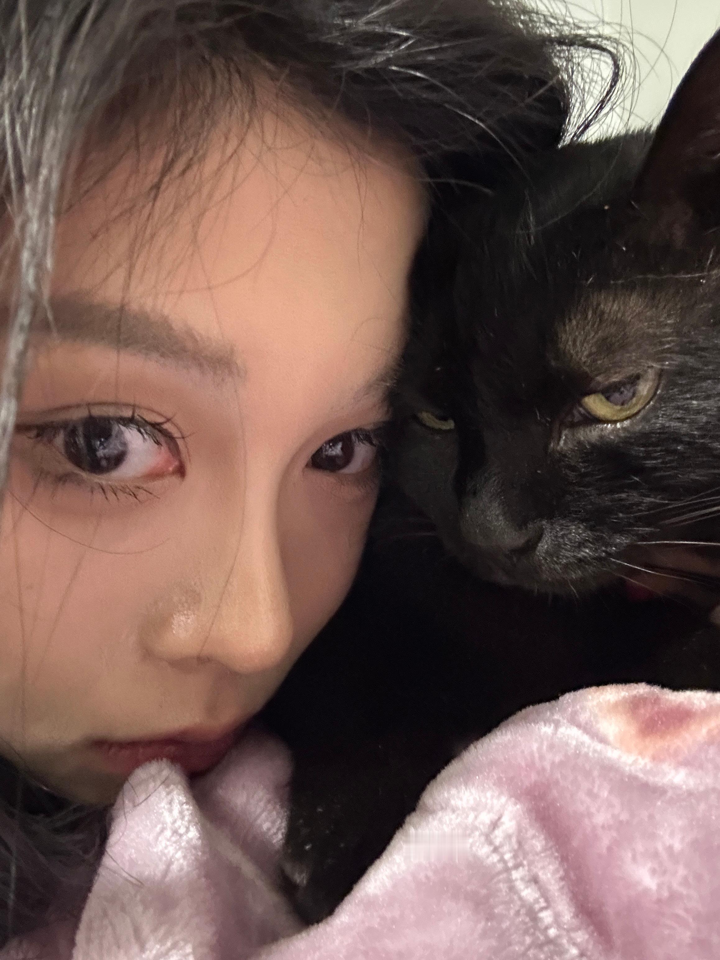 没头脑和不高兴 ​​​