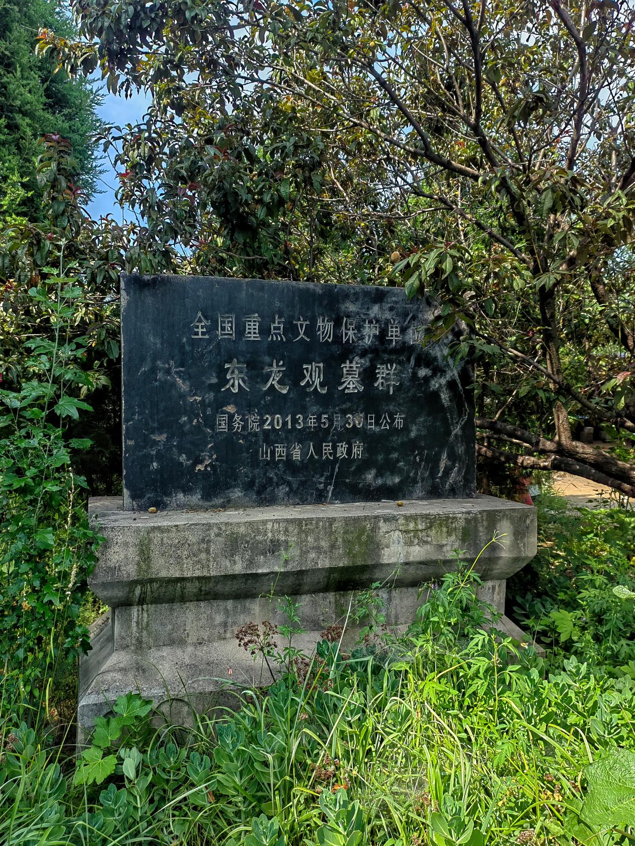 山西汾阳东龙观墓群
在公路边的一个树林里
是宋金时期家族墓群
目前可看的有五个，
