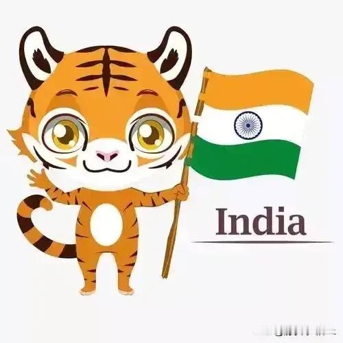 是的没搞错，造大飞机？

不得不佩服印度三哥，居然要在未来十年内造出大飞机，超越