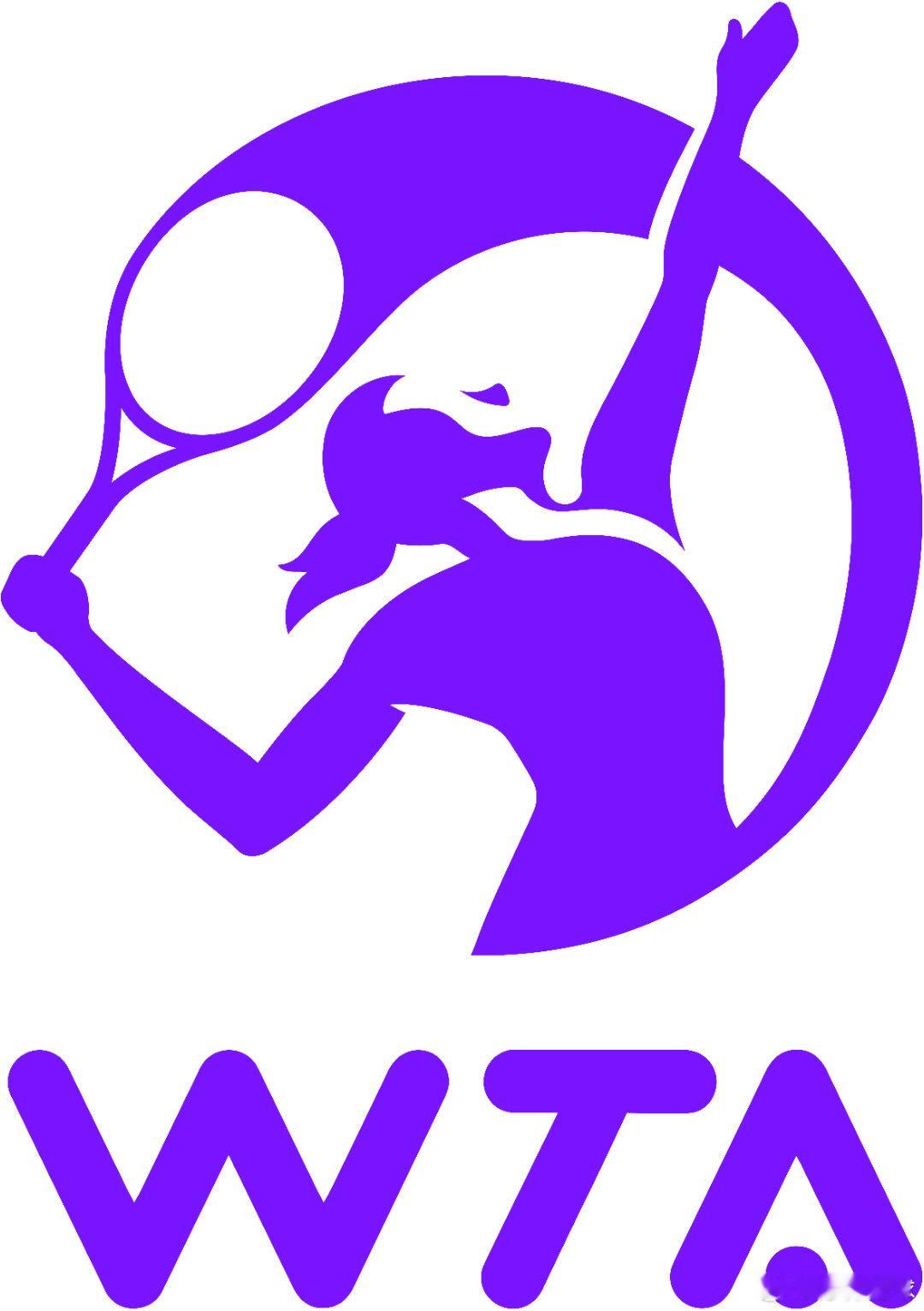 WTA250次轮🇨🇳王雅繁36，16不敌孙璐璐🇳🇿无缘八强。中国选手还有