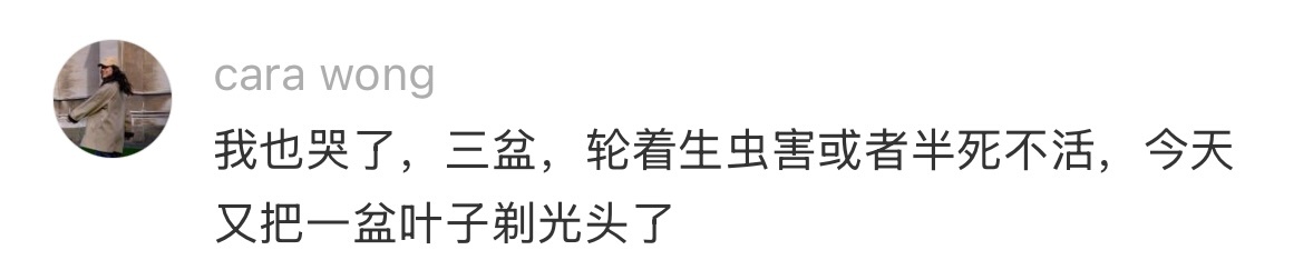 我愿称之为最难养的花 