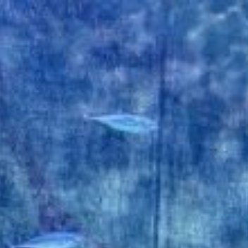 1800《江天暮雪》马致远（元）天将暮，雪乱舞，半梅花半飘柳絮。江上晚来堪画处，