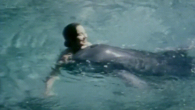 上世纪60年代，美国一头公海豚爱上了他的女饲养员，一人一豚24小时生活在一起只为
