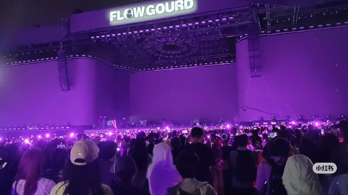 今天露人特别特别给力的应援，非常震撼的紫海！ ​​​