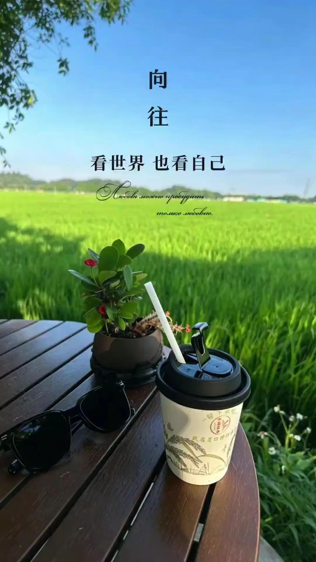户外咖啡下午茶 咖啡与风景，都是温柔