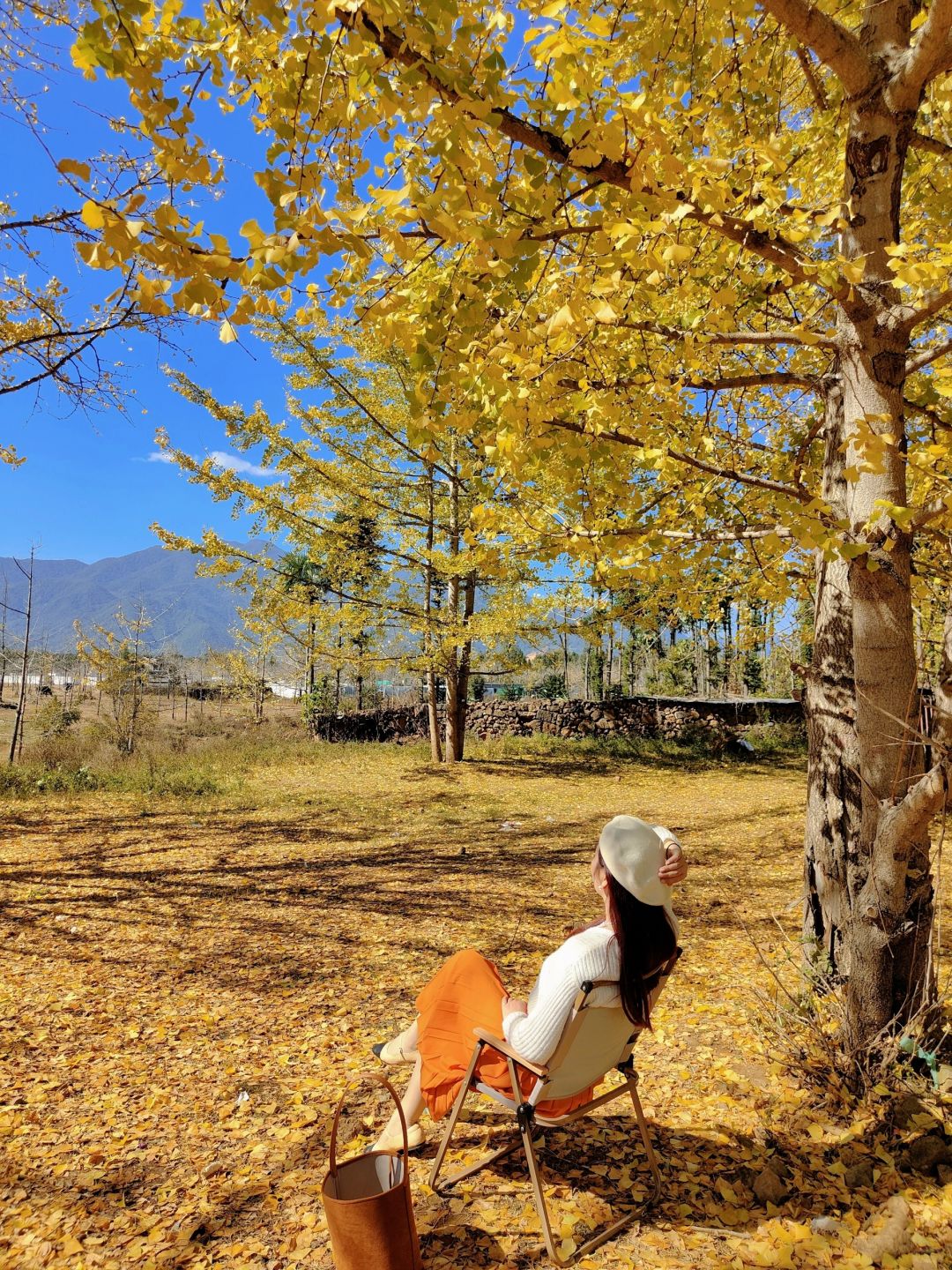 🍂云南腾冲银杏村，我想说:不劝退！