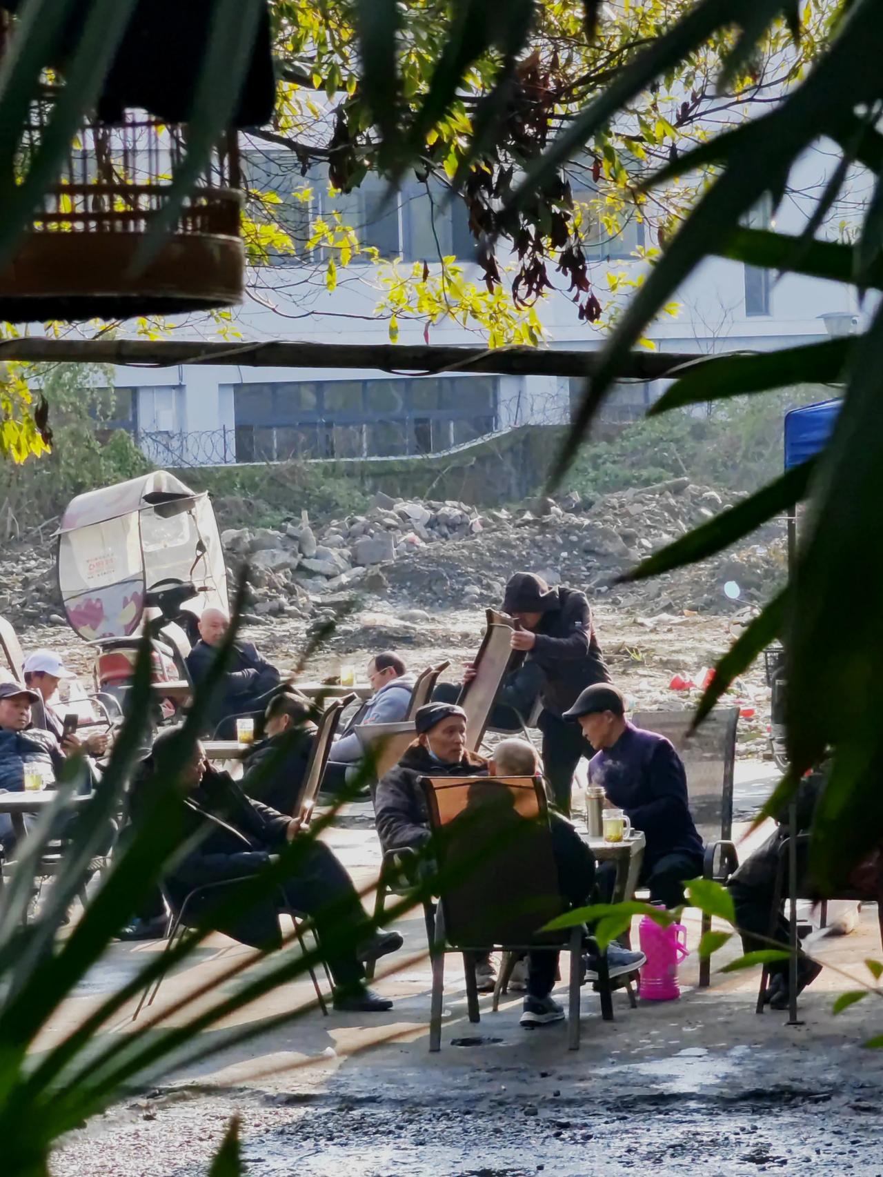 街拍中国清晨趁着和煦阳光，遛鸟爱好者们将鸟笼挂在身边的树枝上，围拢到一个桌上，每