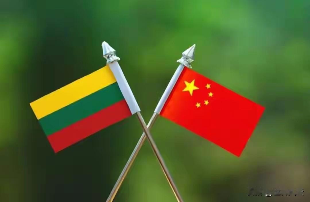 立总理就职首天夸下海口，不用关“台代表处”，就能恢复对华关系！
立陶宛新总理就职