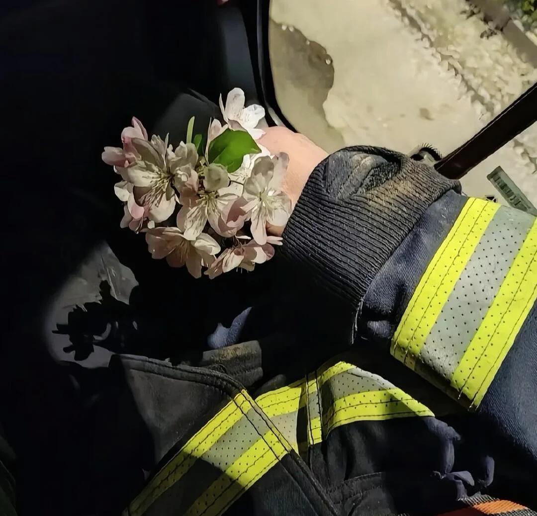 好了我摘下来了，那么我又应该送给谁？总有人在默默守护