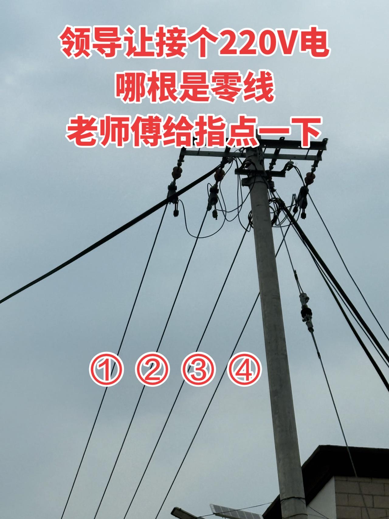 领导让接个220V电，哪根是零线，哪根是火线？老师傅给指点一下！电力电线杆 知识